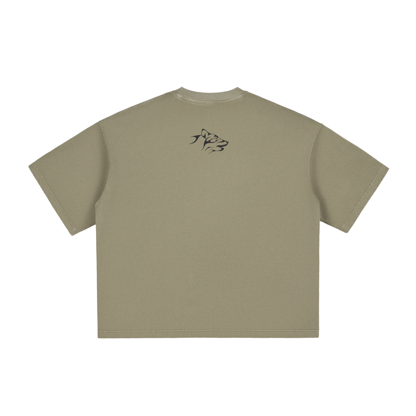 Petrified Boxy T-Shirt