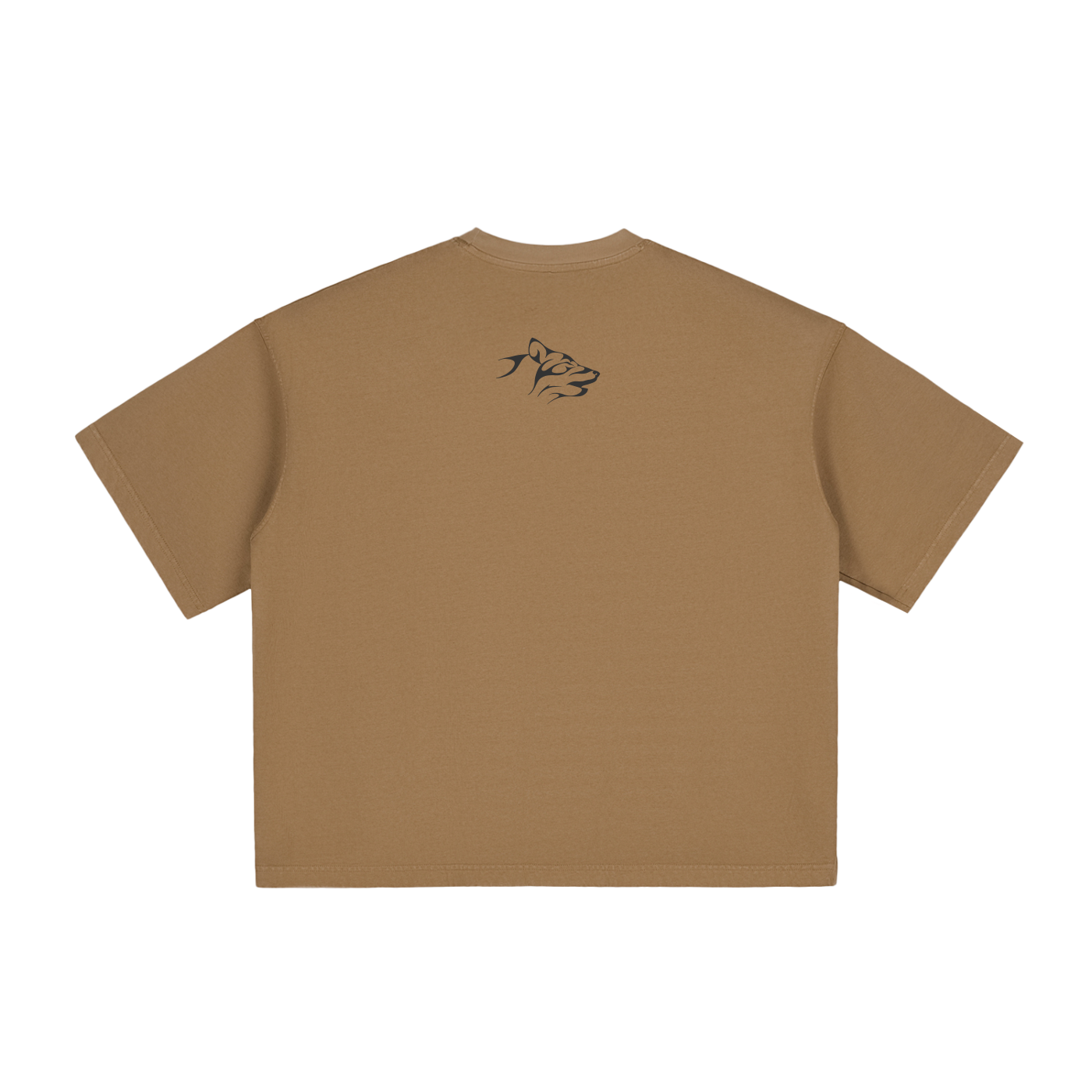 Petrified Boxy T-Shirt